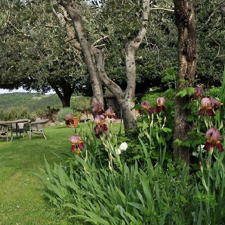 CASTELLO DI COLOGNOLE - Appartamento QUARATESI Greve in Chianti Esterno foto