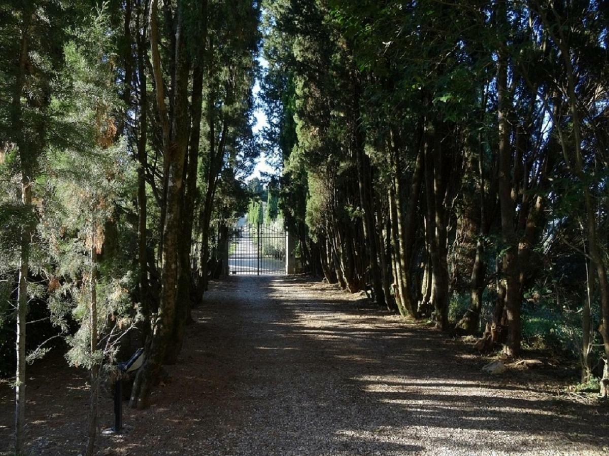 CASTELLO DI COLOGNOLE - Appartamento QUARATESI Greve in Chianti Esterno foto